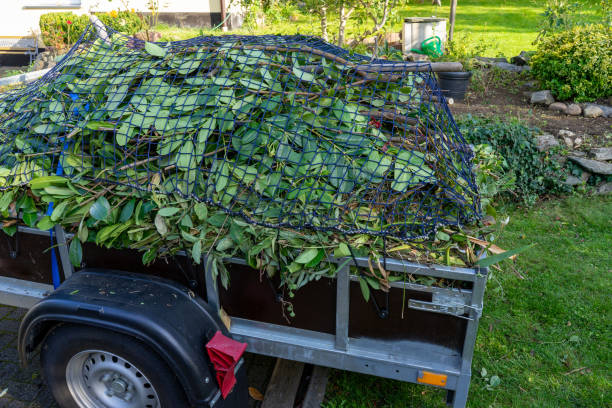 Best Yard Waste Removal  in Ardmore, TN